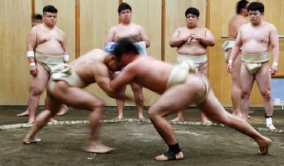 Melihat Para Pemuda Jepang Berlatih Sumo