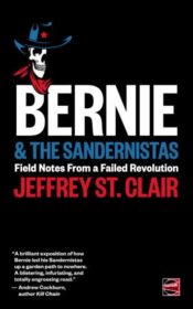 bernie-the-sandernistas-cover-344x550