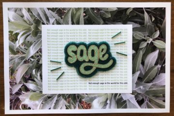 "Not Enough Sage." Credit: Dr. Kimberly Robertson