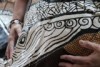 Two hands sit on either side of a whale's painted head, decorating a budbili, or possum-skin cloak.