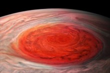 An image of Jupiter's Great Red Spot taken by NASA's Juno spacecraft in 2017. (Supplied: NASA/JPL-Caltech/SwRI/MSSS/Roman Tkachenko)