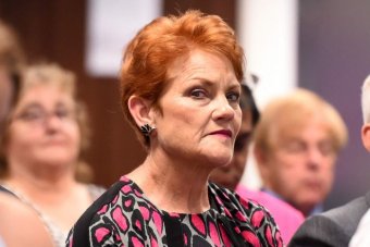 Pauline Hanson frowns