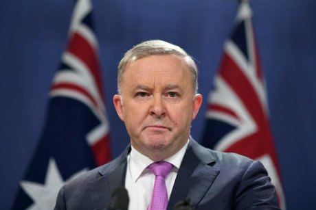 image for article:Anthony Albanese has announced his shadow ministry two weeks after the election. (AAP: Joel Carrett)