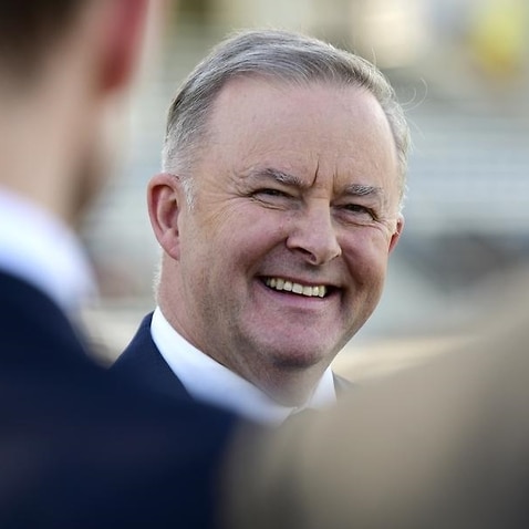 Labor leader Anthony Albanese