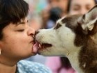 Dog licking a person