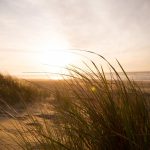 De meest voorkomende windrichting in Nederland