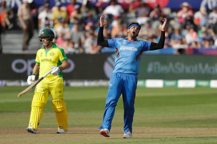 An open-mouthed bowler throws up his hands after nearly taking a wicket.