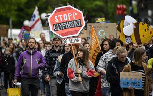 People attend a protest rally outside the annual general meeting of the Bayer stock company in Bonn, Germany, Friday, April 26, 2019. Following the record acquisition of U.S. biotech and seed company Monsanto, Bayer's agricultural business has become a risk for the German chemical company.