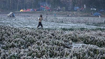 Tanda-tanda Kemunculan Embun Es di Dieng Saat Kemarau