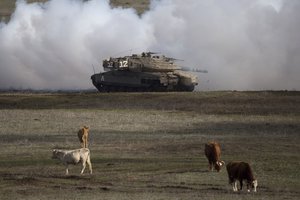 FILE - In this Jan. 11, 2016, file photo, an Israeli Merkava Mark 4 tank drives close to livestock during an exercise in the Israeli-controlled Golan Heights, near the border with Syria.