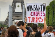 Demonstrators participate in a protest march against Monsanto Co, the world's largest seed company, in Paris, France, May 23, 2015. (Reuters: Mal Langsdon)