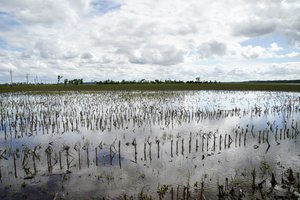 In this May 29, 2019 photo, a field is flooded by waters from the Missouri River, in Bellevue, Nebraska.