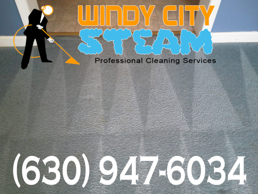 best carpet cleaning company