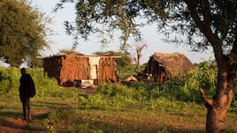 Mamire village just outside Tarangire National Park, Tanzania.