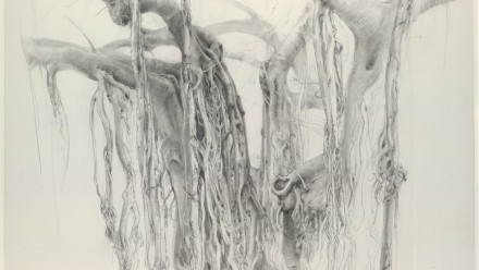 Image: Elizabeth Cross, Monumental Moreton Bay Fig, Botanical Gardens, Sydney, 2009-10, pencil on paper, 66 x 75.5 cm. Collection of the artist.