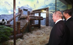 Russian President Vladimir Putin, second right, and Chinese President Xi Jinping, right, look at a panda in Moscow's Zoo in Moscow, Russia, Wednesday, June 5, 2019.