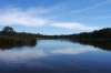 Barmah National Park, Victoria: This smallish park, just north-west of Echuca, is the ideal spot for becoming entranced ...