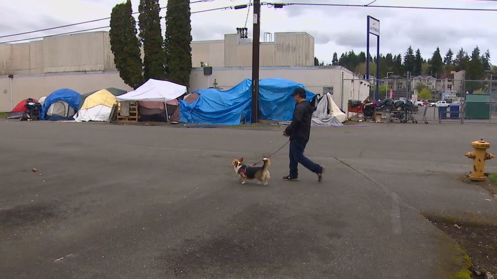 Seattle city employee selling home, moving family out due to homeless mess