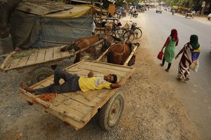 An Indian horse cart owner sleeps on his cart in a shade on a hot summer day on the outskirts of Prayagraj, Uttar Pradesh, India, Wednesday, June 12, 2019.