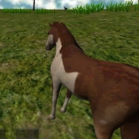 马VR（VR Horse）