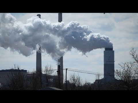 Killing for Coal (Literally)