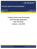 Criminal Justice Case Processing Arrest through Disposition New York State January - June 2018