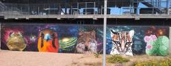 The sixteenth of the Endangered Species Murals is finished! This big wall is located near the Convention Center in downtown El Paso, Texas, and features five endangered species from the US/Mexico borderlands: the Chiricahua Leopard Frog, Northern...