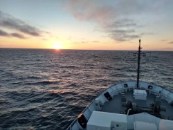 I spent a week aboard the R/V Falkor, science vessel of the Schmidt Ocean institute, painting a mural in the aft passageway on rolling seas. The subject: the Ghostfish, deepest fish ever recorded, found at the bottom of the Mariana trench when it...