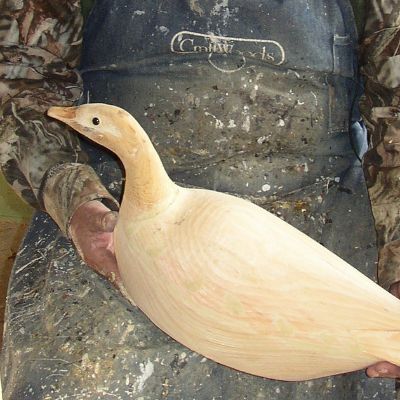 Duck Decoy Carving