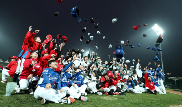 여자 야구인들의 가을 축제! 뜨거웠던 4주간의 이야기