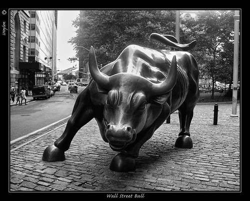 Wall Street Bull