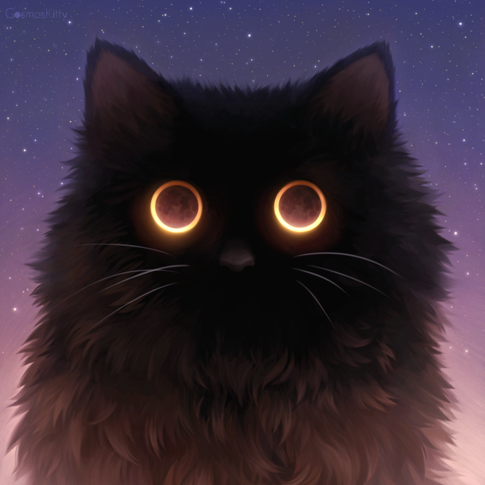 cosmos-kitty:
“Watch the night sky closely enough and you might see the moon blink back at you 🌙
”