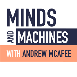 minds and machines-Logo