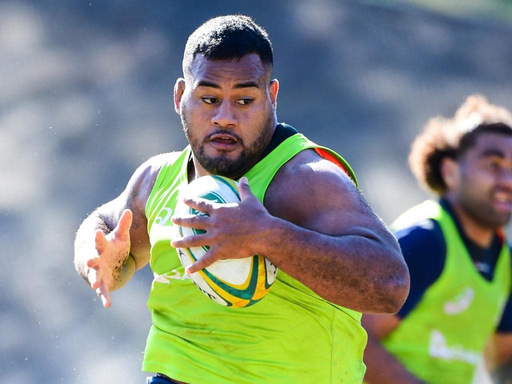 Wallabies training