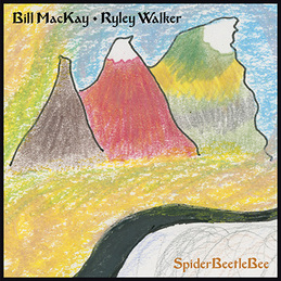 Bill MacKay & Ryley Walker: SpiderBeetleBee (DC688)