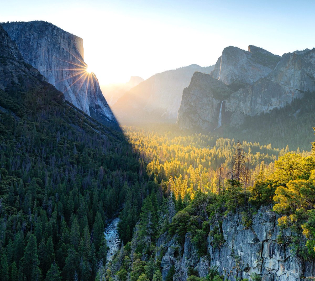 Beaming sunlight shines down on a narrow valley lined with tall rock cliffs and filled with trees.