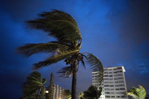 Strong winds move the palms of the palm trees at the first moment of the arrival of Hurricane Dorian in Freeport, Grand Bahama, Bahamas, Sunday Sept. 1, 2019.