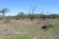 Picture of Lot, 2,3 And 58 Augusta Street, WESTWOOD QLD 4702