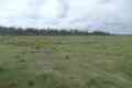 Picture of Lot 8 Mahoneys Road, BUCCA QLD 4670