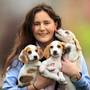 Susan Dudley holds three puppies as preparations get under way for the 2019 Ploughing Championships in Co Carlow. Picture: Mark Condren