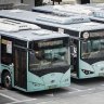 China's mass rollout of electric buses.