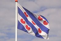 Fryske flagge giet tebek op echte folksynfloed, de Nederlânske net