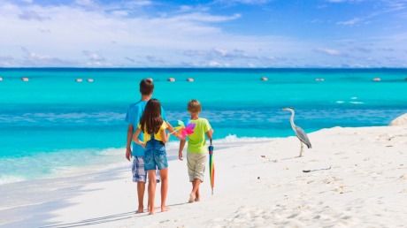 Image: Heron Island, Shutterstock