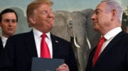 Trump-Kushner “Peace” Plan ignores elephants in the room: Israel created this mess