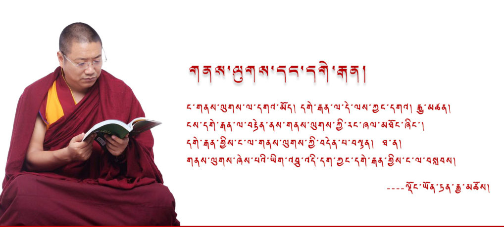 ལྡོང་ཡོན་ཏན་རྒྱ་མཚོ་མཆོག་ངོ་སྤྲོད།