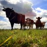 Help us to manage the environment, Queensland farmers ask government