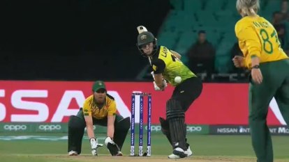 Australia are into T20 World Cup final after winning their match at the SCG.
