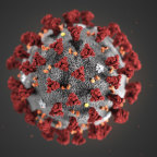 The 2019 Novel Coronavirus (2019-nCoV), also known as Wuhan coronavirus.