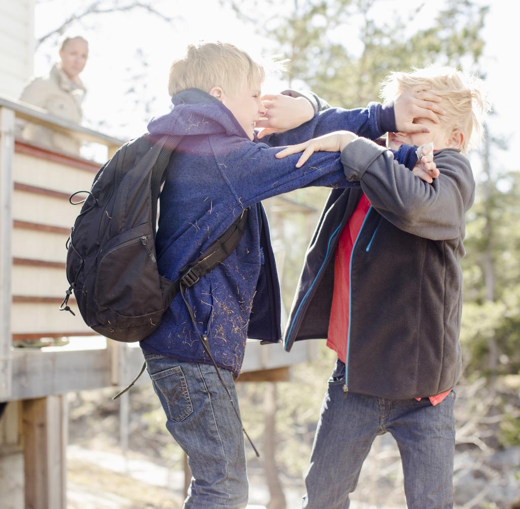 Wenn Lehrer bei Gewalt der Kinder untereinander nicht eingreifen, ist das für die Expertin unterlassene Hilfeleistung