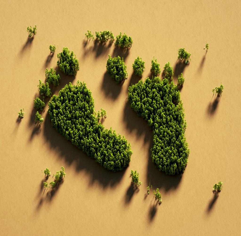 Human Foot Print Symbol Made Of Green Trees On Recycled Paper : Green Energy And Carbon Footprint Concept